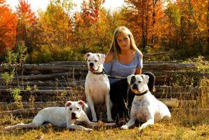 Paws and Spas Dog Grooming