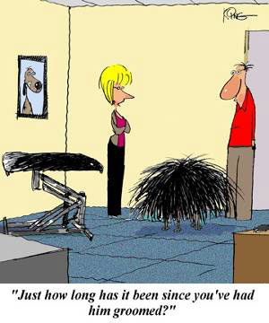 dog needs grooming cartoon